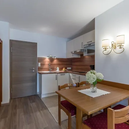 德尼斯公寓酒店 *