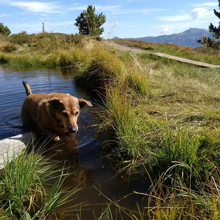德尼斯公寓酒店 公寓