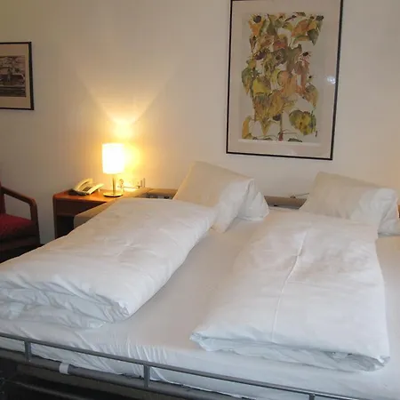 公寓 德尼斯公寓酒店 *